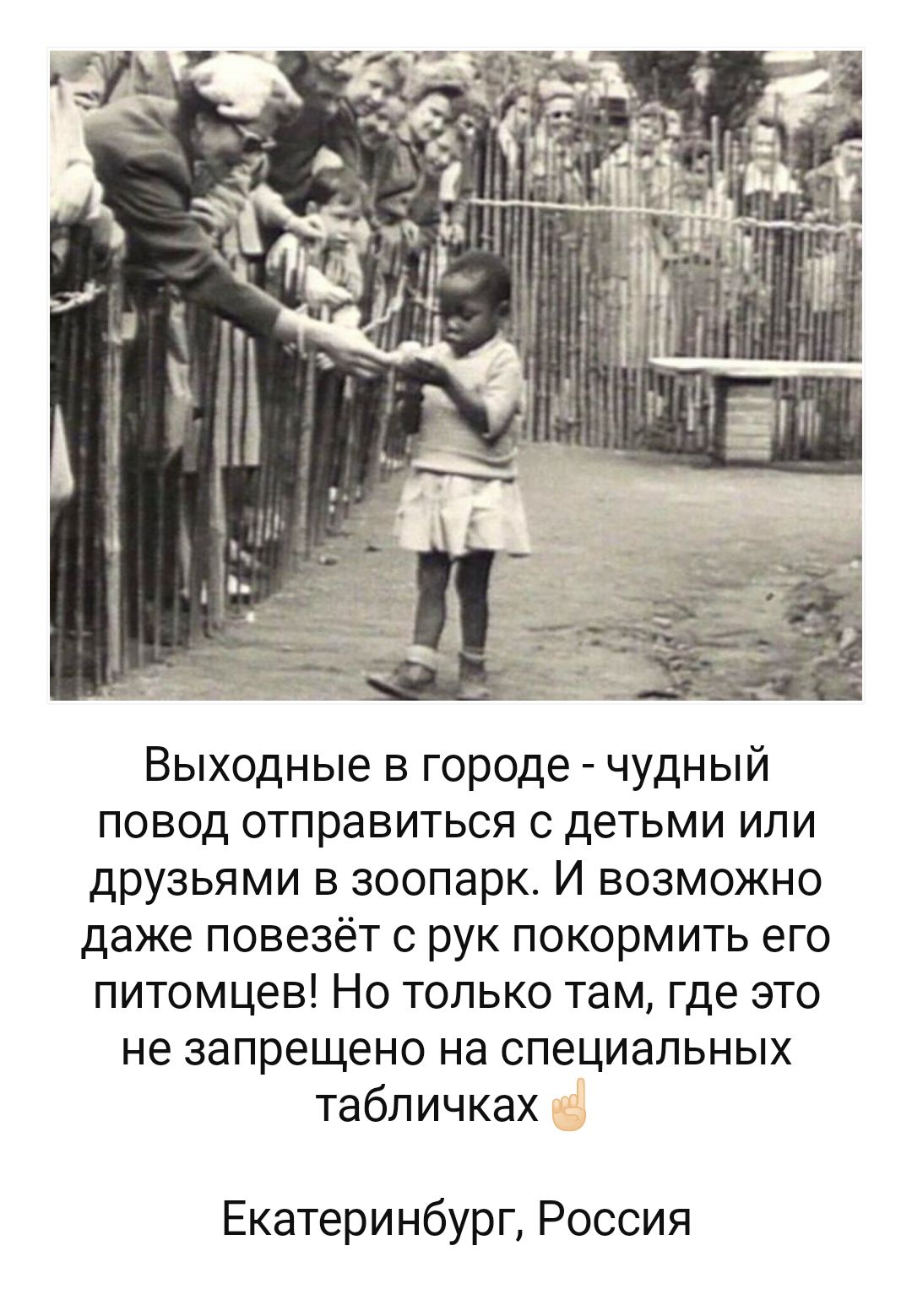 Выходные в городе чудный повод отправиться с детьми или друзьями в зоопарк И возможно даже повезёт с рук покормить его питомцевНотолькотамьпдеэто не запрещено на специальных табличках Екатеринбург Россия