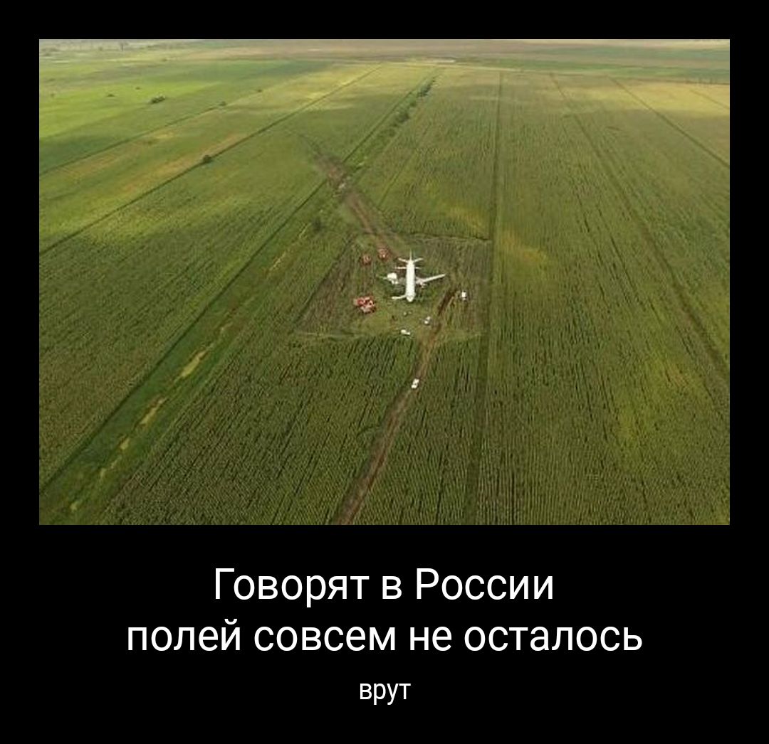 Говорят в России полей совсем не осталось ВРУТ