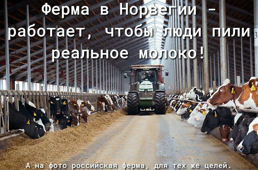 ТГеьное