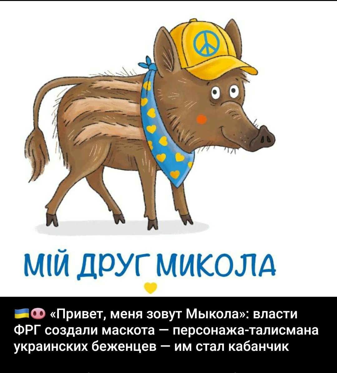 МЙ ДрУГ МИКОЛА _Ф Привет меня зовут Мыкола власти ФРГ создали маскота персонажа талисмана украинских беженцев им стал кабанчик