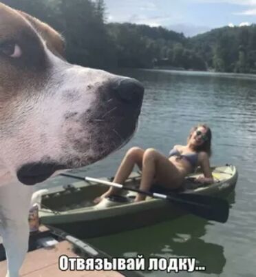 _амн