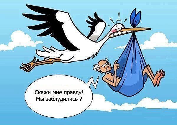 Скажи мне правду Мы заблудились