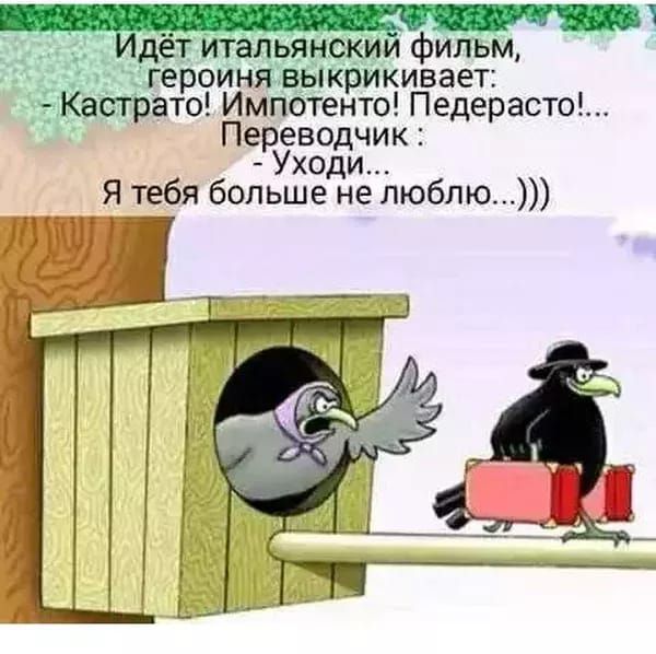 1 дёт Итальянским фильм _героинявыкрикивает Кастрато Импотенто Педерасто Переводчик Уходи Я_тебя больше не люблю