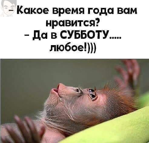 Какое время года вам нравится да в СУББОТУ любое