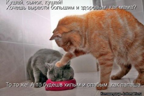 как Гиама ь_ъ То то же А то будешв хипым и спабьм так папаша