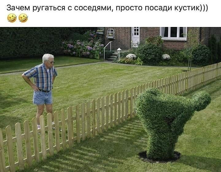 Зачем ругаться соседями просто посади кустик