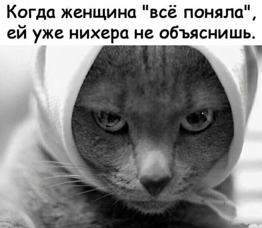 Когда женщина всё поняла ей уже нихера не объяснишь