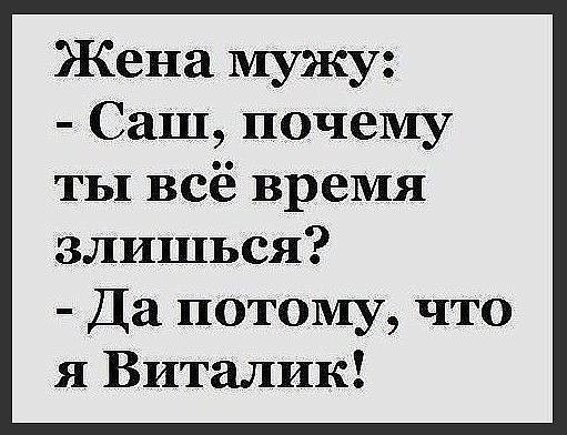 Жена мужу Саш почему ты всё вреМя злишься Да потому что я Виталик
