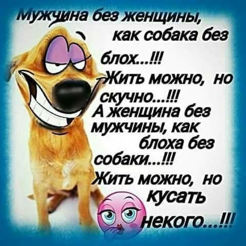 мркуина беэженщины как собака без ох ь Ул 1 можо но скуч на А женщина без мужчины как блоха без забыт молот но Куса 957 екого