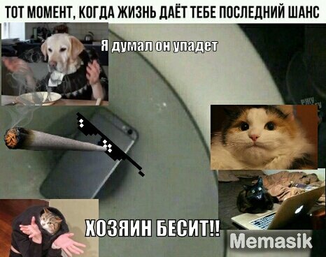 ТВТ МПМЕНТ КОГДА ЖИЗНЬ ЛАЁТ ТЕБЕ ПОСЛЕДНИЙ ШАНС шииттшштвшэп 31 _ Ы Ч хозяин весит 35 Метвзік