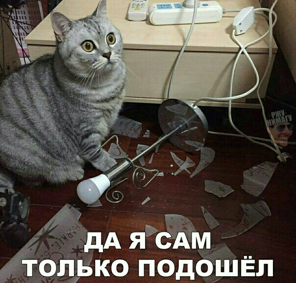 дА яж только подошёл