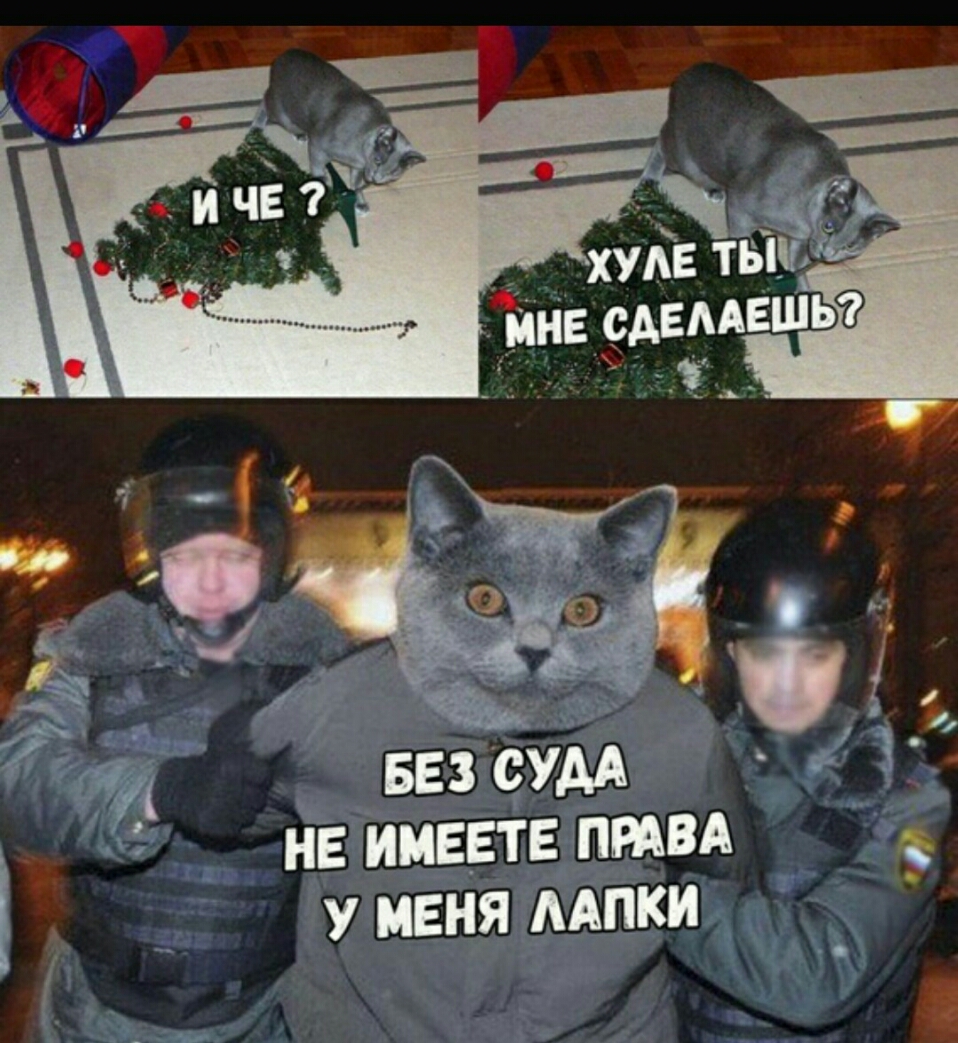 У меня мпки 7