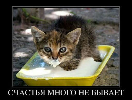 СЧАСТЬЯ МНОГО НЕ БЫВАЕТ