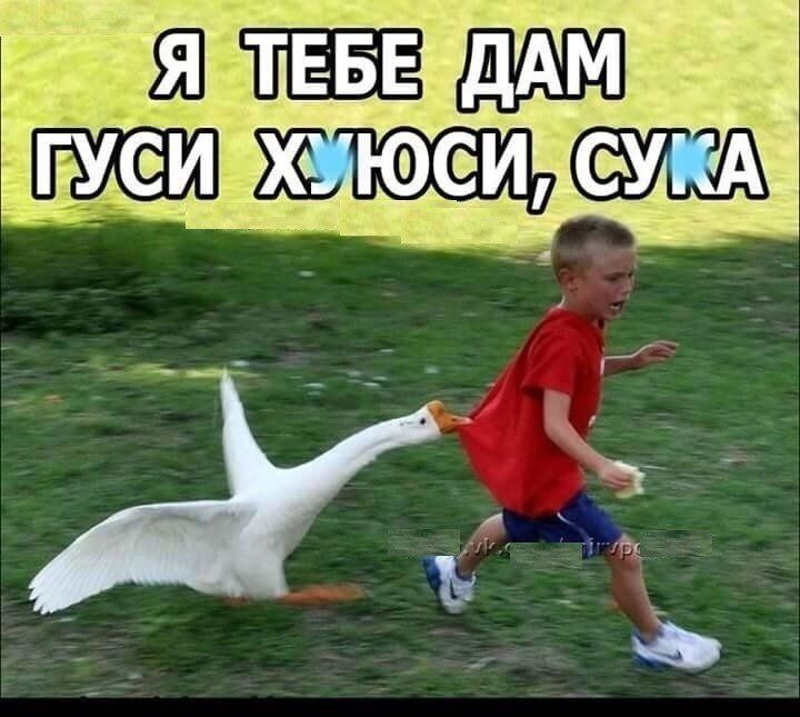 ажигж ЮЁсд _ _ д п 513 254 д _
