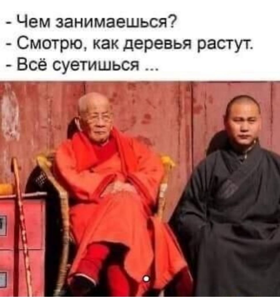 Чем занимаешься Смотрю как деревья растут Всё суетишься