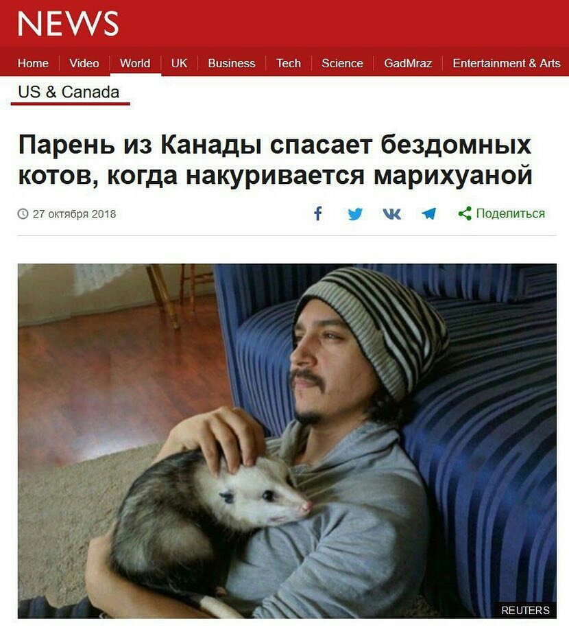 МЕ Ноте Ибео шопа ЦК Виэіпеээ ТеЕП Эсіепсе баньНах Етепаттепі АПЗ ЦБ Сапаба Парень из Канады спасает бездомных котов когда накуривается марихуаной ъэггябрязшз __ к Поделиться РЕЦТЕРЭ
