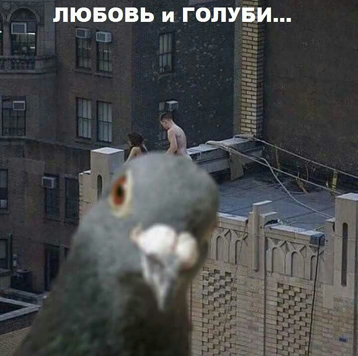 лювовь и Ёбп ПЕ и Ая Ш