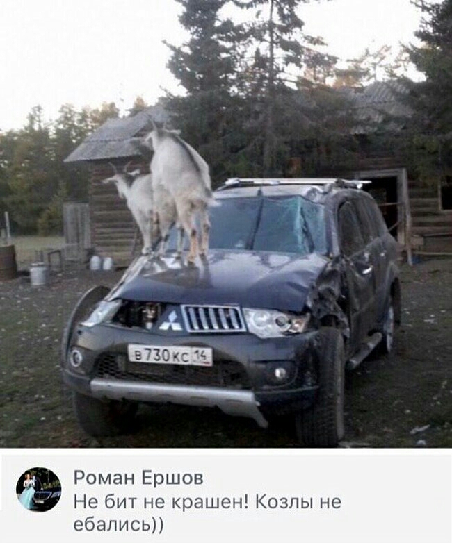 РоманЕршов НебитнекрашенКозлыне ебаписьп
