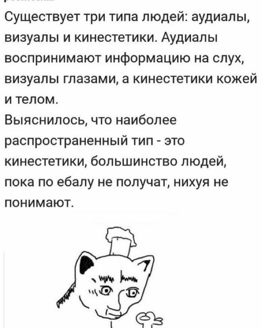 Существует три типа людей аудиал ы визуалы и кинестетики Аудиалы воспринимают информацию на слух визуалы глазами а кинестетики кожей и телом Выяснилось что наиболее распространенный тип это кинестетики большинство людей пока по ебалу не получат нихуя не понимают