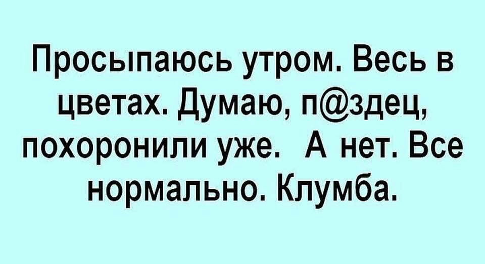 Проснуться думать. Просыпаюсь утром весь в цветах думал похоронили. Проснулась в клумбе анекдот. Проснулся в клумбе. Анекдот проснулась вся в цветах.