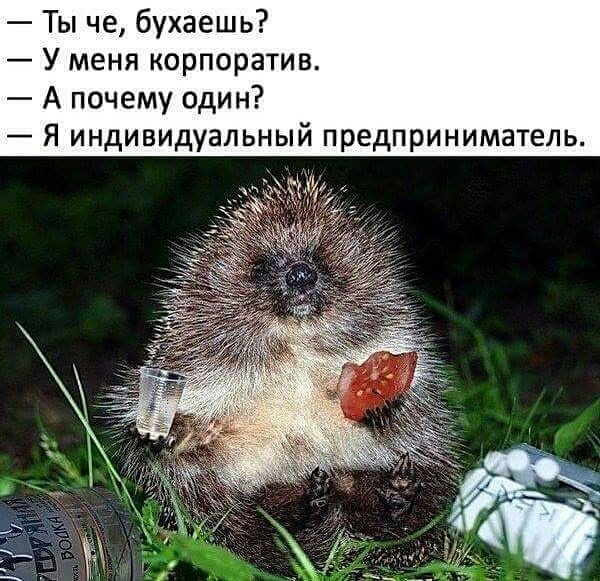 Ты че бухаешь У меня корпоратив А почему один Я индивидуальный предприниматель