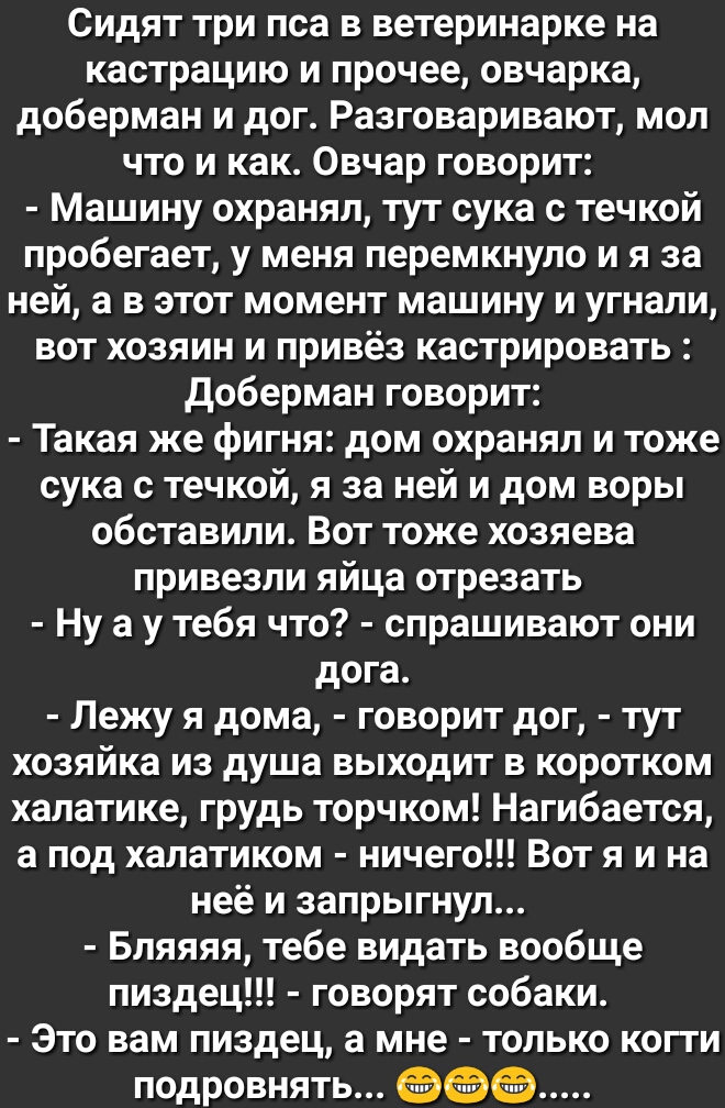 Сидят три пса в ветеринарке на кастрацию и прочее овчарка доберман и дог Разговаривают мол что и как Овчар говорит Машину охранял тут сука с течкой пробегает у меня перемкнуло и я за ней а в этот момент машину и угнали вот хозяин и привёз кастрировать Доберман говорит Такая же фигня дом охранял и тоже сука с течкой я за ней и дом воры обставили Вот тоже хозяева привезли яйца отрезать Ну а у тебя ч