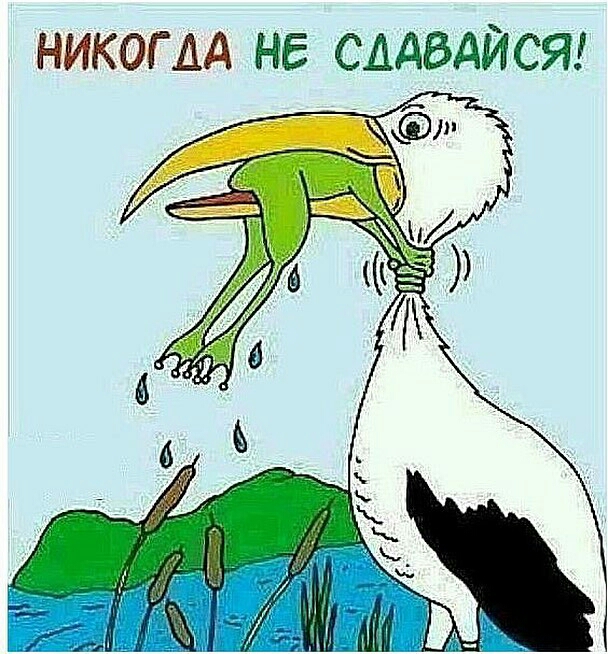 НИКОГДА не сддадйсяз