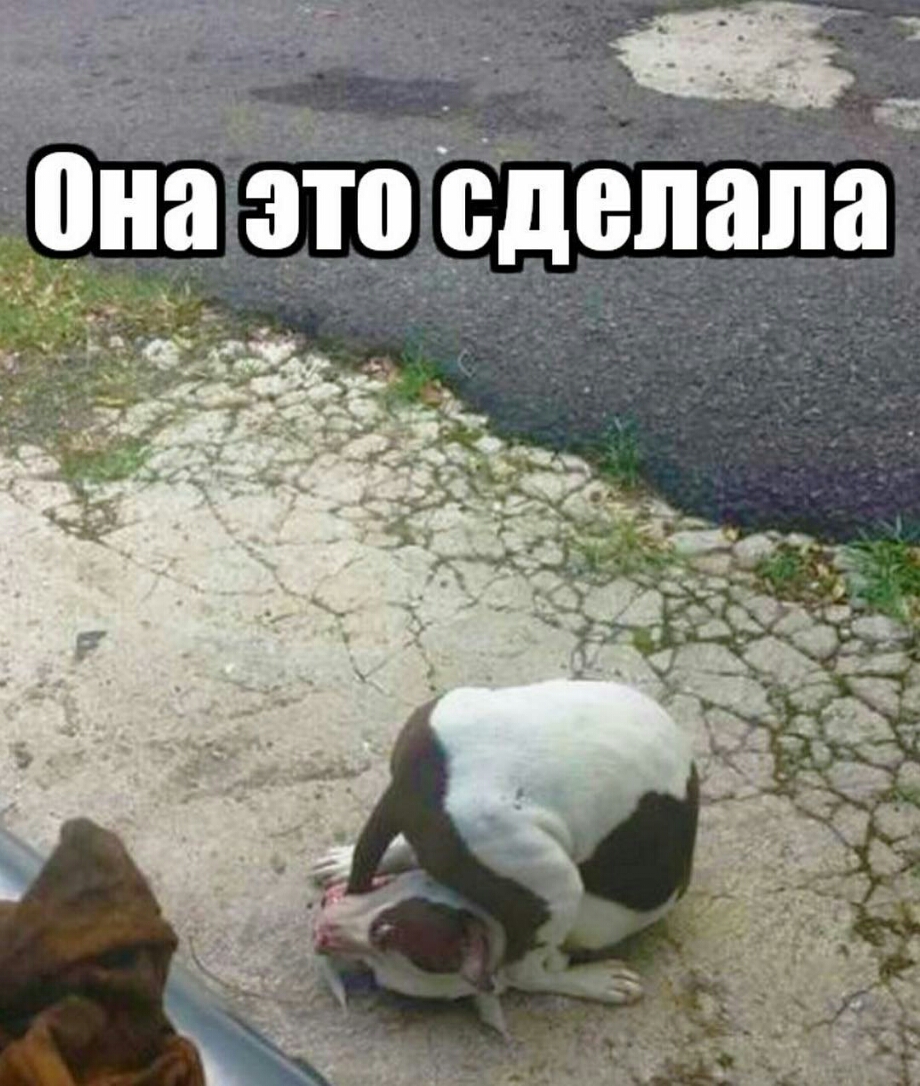 аэто