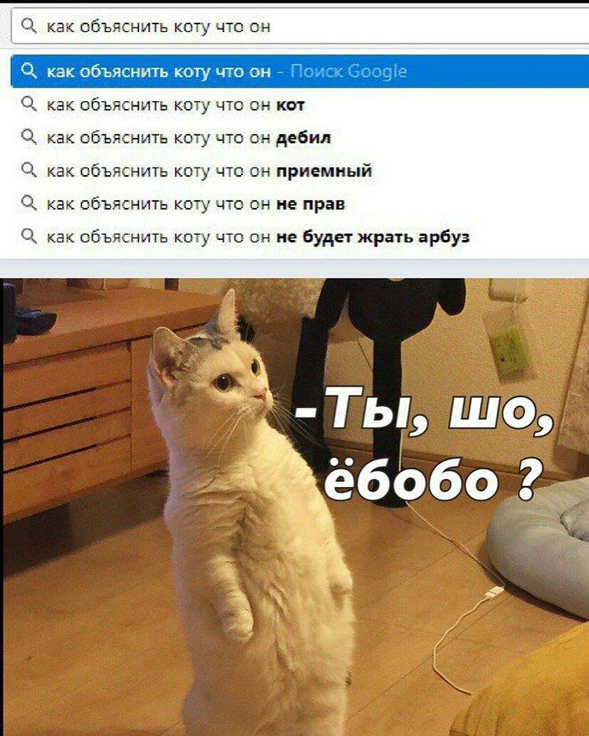 как ОбЪЯСНИТЬ КОТУ ЧТО ОН как объяснить коту ЧТО ОН как ОбЪЯСНИТЬ КОТУ ЧТО ОН КШ Как объяснить КОТУ 0 ОН дебил КБК ОбЪЯСНИТЬ КОТУ ЧТО ОН приемный как ОбЪЯСНИТЬ КОТУ ЧТО ОН не прав как объяснить коту что он не будет жрать арбуз
