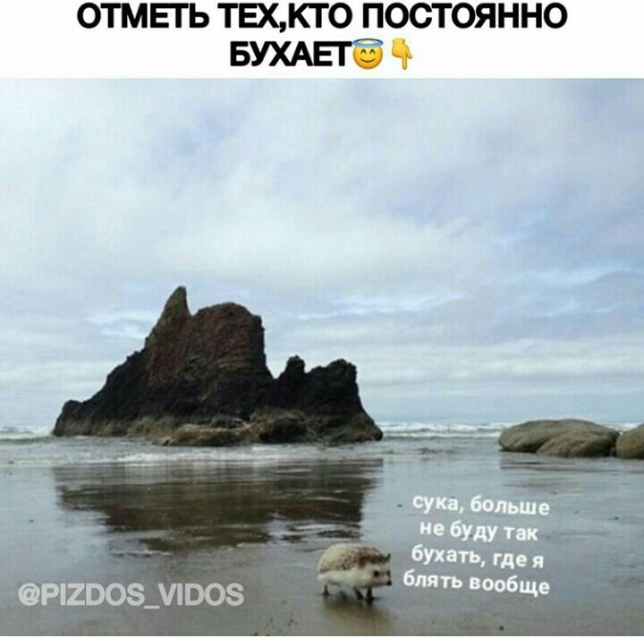 отмьгь техкто постоянно БУХАЕГЁ