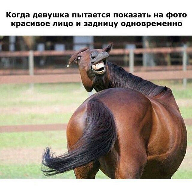 Когда девушка пытается показать на фОТО Красивое ЛИЦО И задницу ОДНОВРЕМЕННО