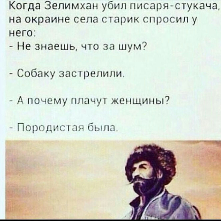 Когда Зелимхан убил писаря стукача на окраине села старик спросил у него Не знаешь что за шум Собаку застрелили А почему плачут женщины Породисюя была