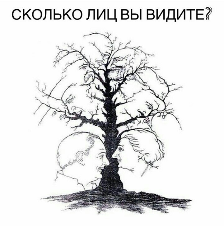 СКОЛЬКО ЛИЦ ВЫ ВИДИТЕ