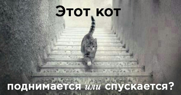 іі поднийёёёцщё