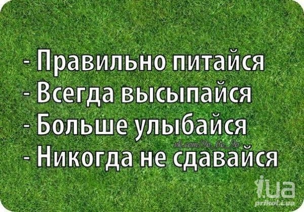 ЁПравильно питаися Всегда высыпаися Больше упыбаисяЬ _ Никогда сдаізаися