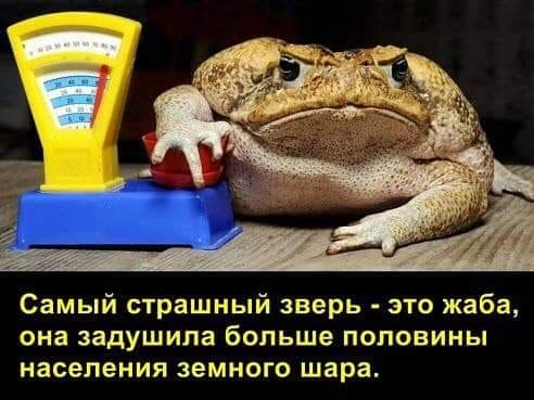 Самый страшный зверь это жаба она задушила больше половины населения земного шара