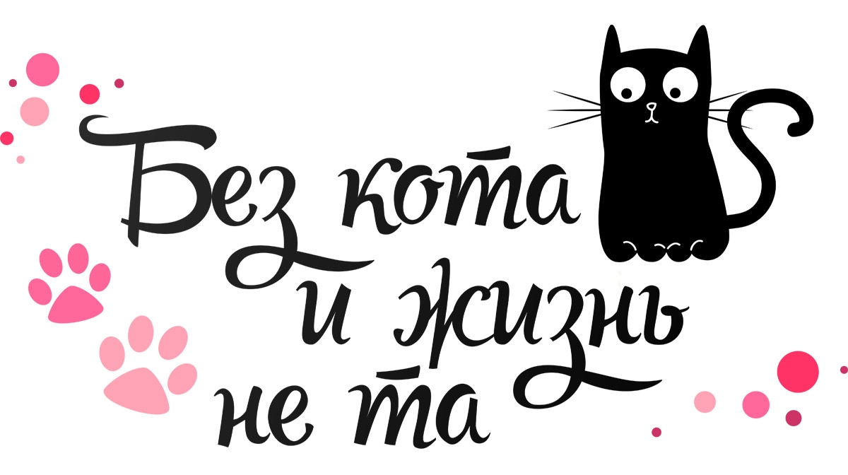 Бе кот ЗЙЗЮЗЁЬ __ не та