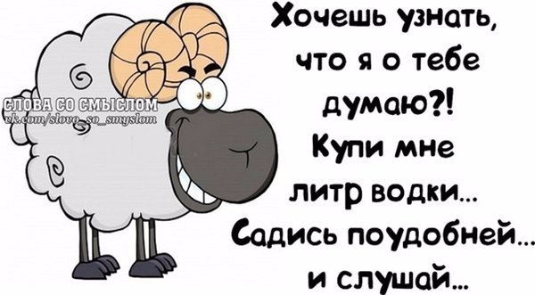 Хочешь узнать что я о тебе думаю Купи мне литр водки Садись поудобней и слушай