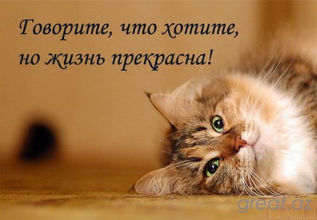 Товорите чтахатиш Р но прекрати