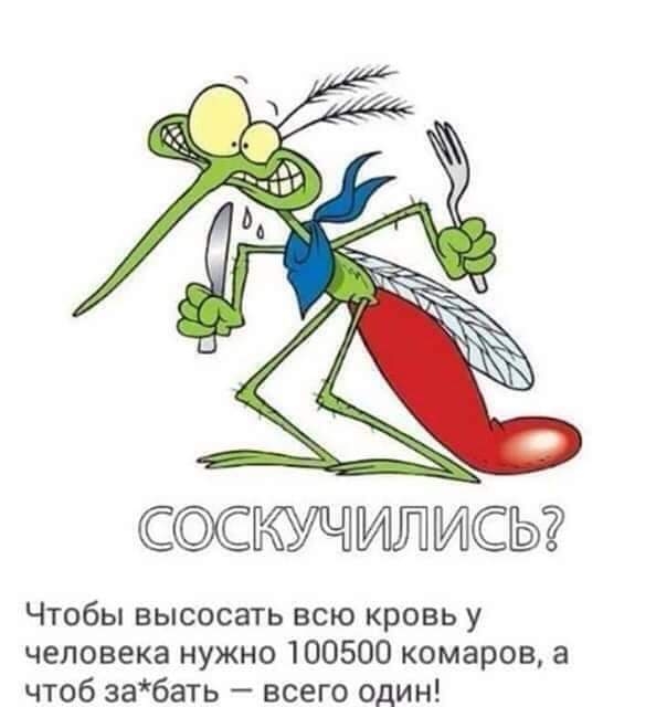 ССИСЫ Чтобы высосать всю кровь у человека нужно 100500 комаров а чтоб забать всего один