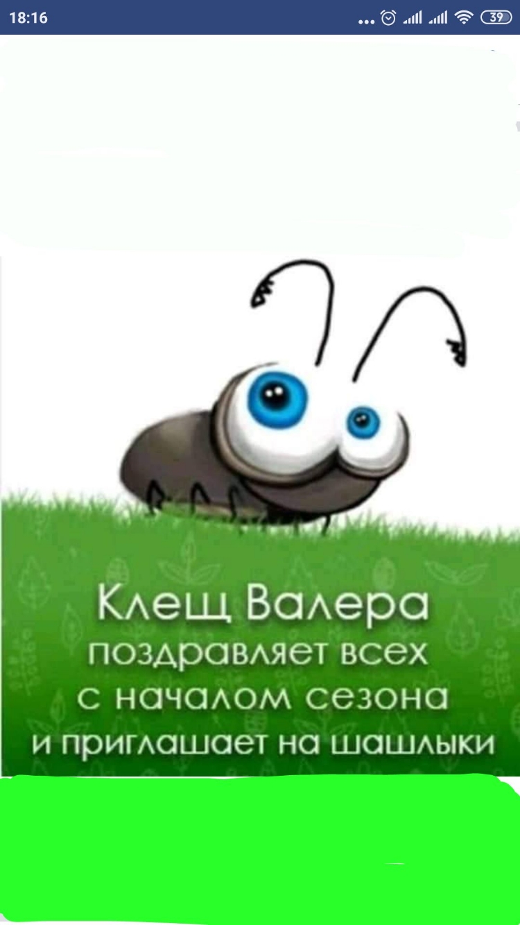 КАеЩ Всхера ПОЗАрОВАяеТ всех С НОЧОАОМ СЭЗОНО И примошоет НС ШОШАЫКИ