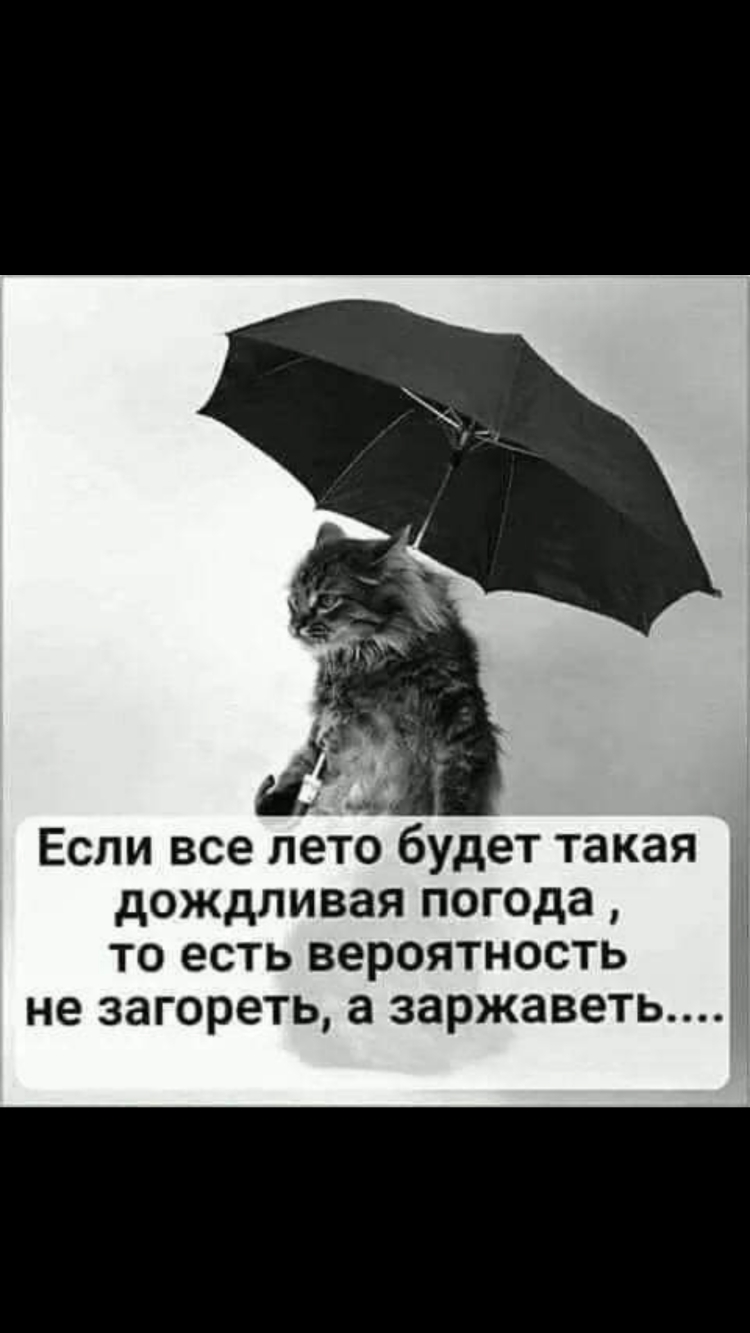 і Если все лето будет такая дождливая погода то есть вероятность не загореть а заржаветь