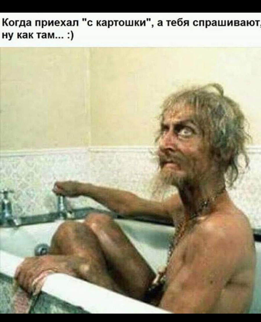 Когда приехал с арюшки а тебя спрашивают ну как там