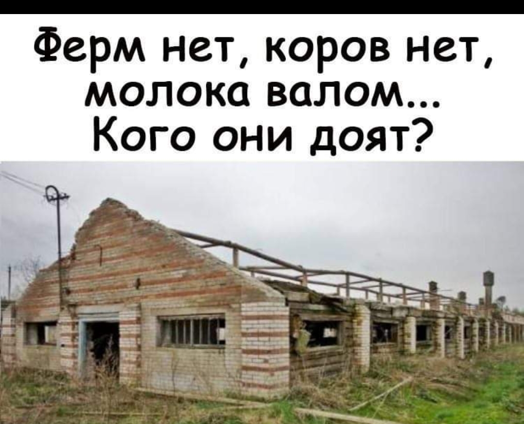 Ферм нет коров нет МОЛОКО ВОЛОМ Кого они доят