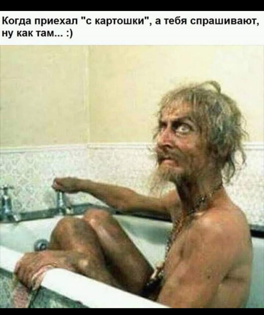 Когда приехал с картошки тебя спрашивают ну как там