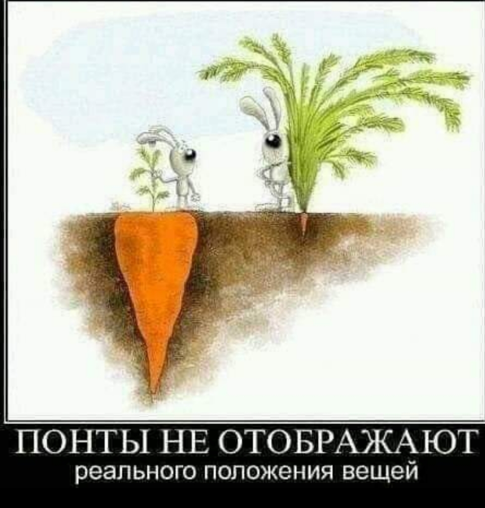 ПОНТЫ НЕ ОТОБРАЖАЮТ реального положения вещей