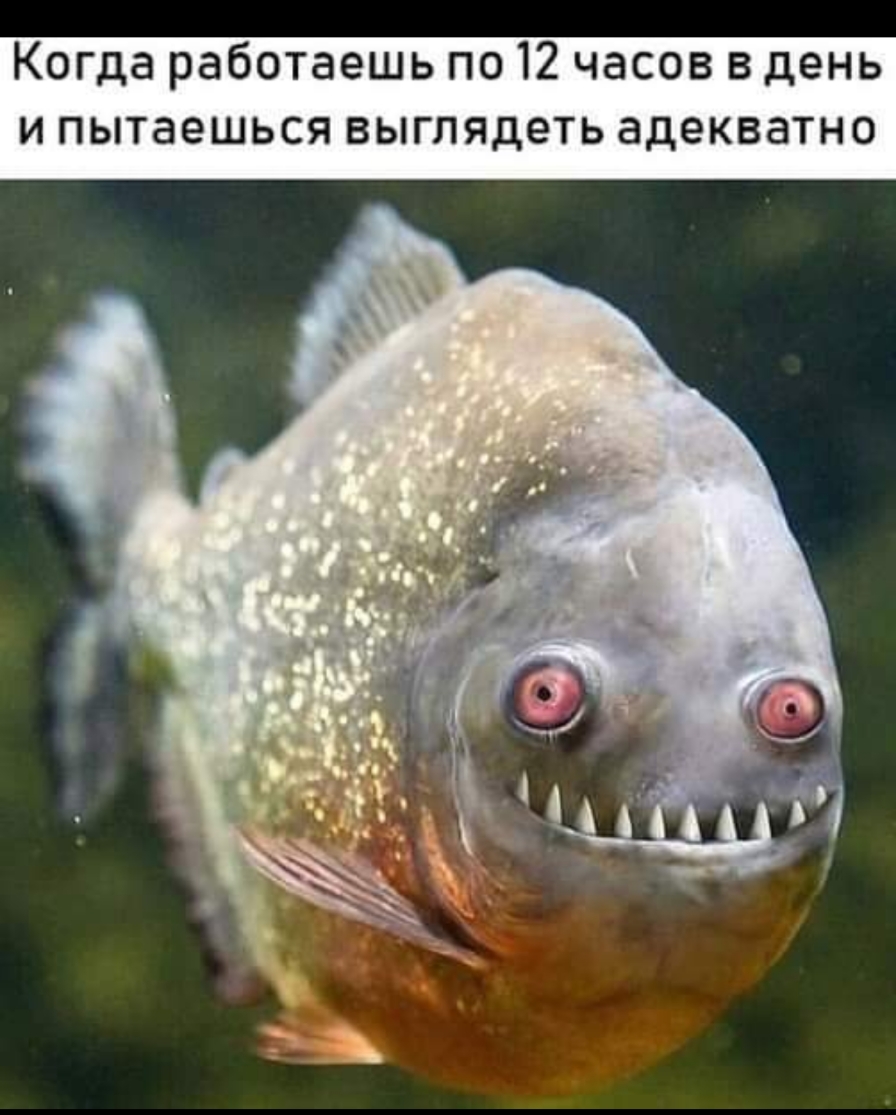 Когда работаешь по 12 часов в день и пытаешься выглядеть адекватно