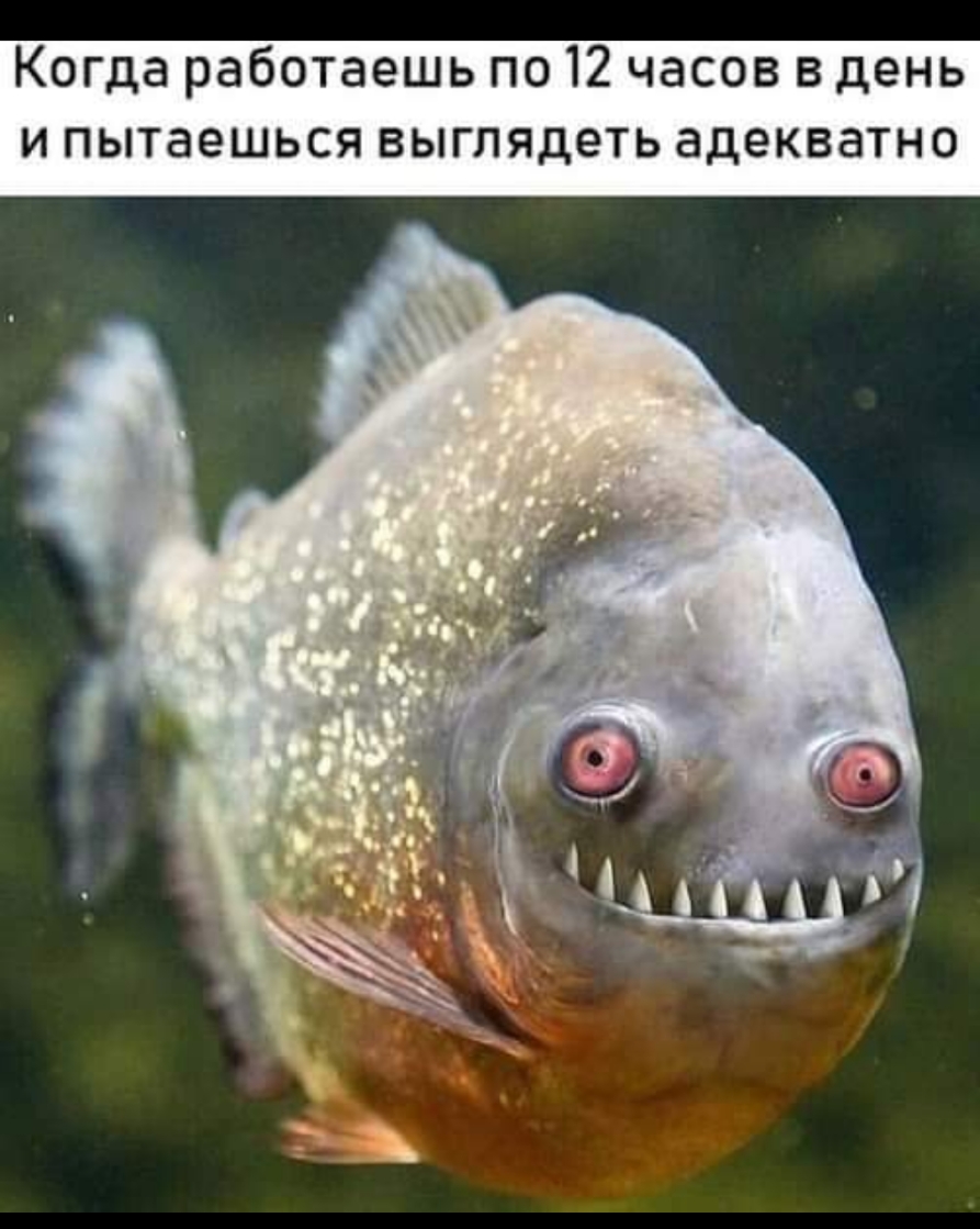 Когда работаешь по 12 часов в день и пытаешься выглядеть адекватно