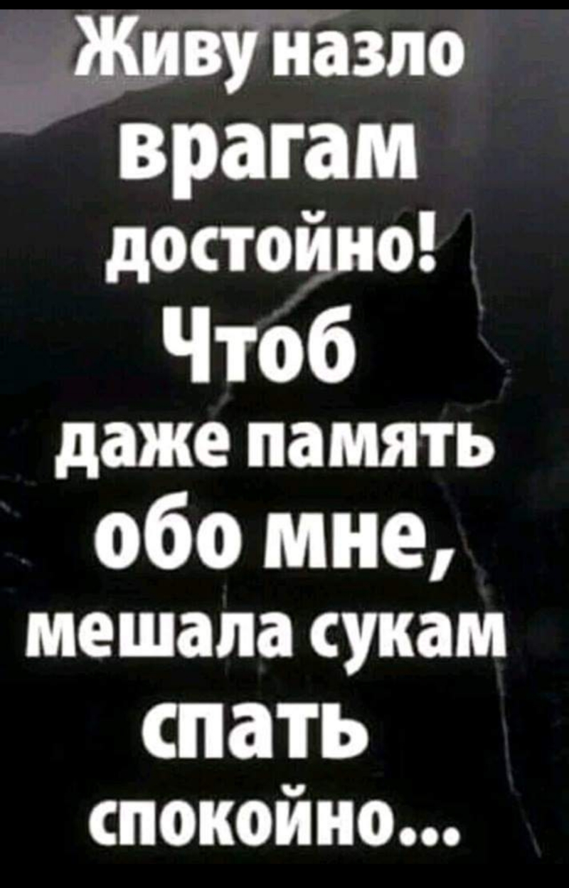 _ Живу назло врагам достойно Чтоб даже память обо мне мешала СУКЗМ спать спокойно