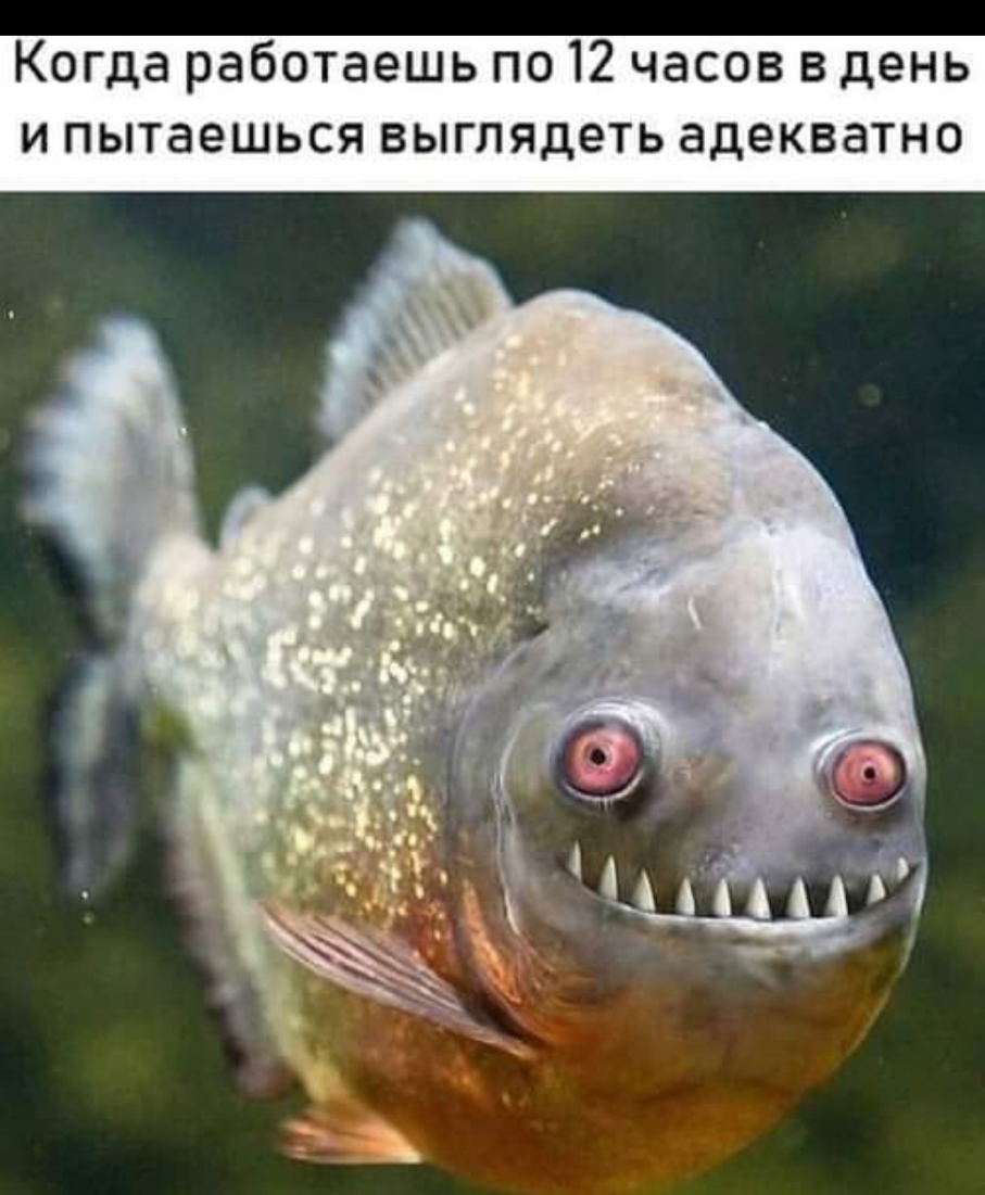 Когда работаешь по 12 часов в день и пытаешься выглядеть адекватно